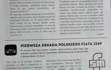 Projekt "Szkolny zesp&oacute;ł redakcyjny" 40