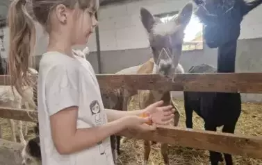 wycieczka do Zagrody w Zakrzewie klasy 1b 1