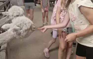 wycieczka do Zagrody w Zakrzewie klasy 1b 5