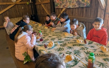 Zagroda w Zakrzewie 3
