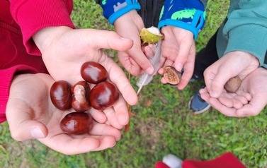 Nauka przez działanie &ndash; klasa 1a 19