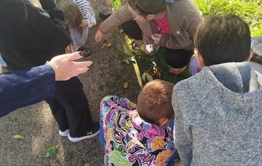 Drzewa pod lupą &ndash; obserwacje przyrodnicze klasy 4a 10