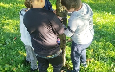Drzewa pod lupą &ndash; obserwacje przyrodnicze klasy 4a 12
