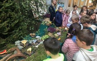 2a na wystawie "Poznaj Grzyby Naszych Las&oacute;w" 11