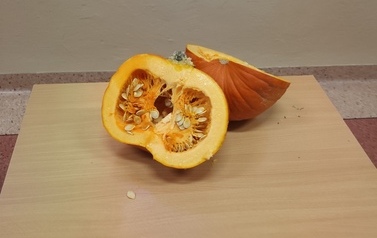 Dzień dyni w 3b 2