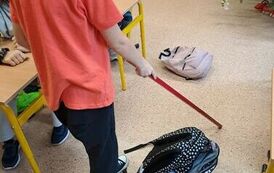 Rozmawiamy o niepełnosprawnościach sensorycznych 11