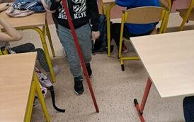 Rozmawiamy o niepełnosprawnościach sensorycznych 29