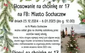 Głosowanie na choinkę nr 17 2