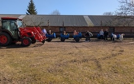 Zagroda w Zakrzewie 1