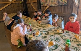 Zagroda w Zakrzewie 3