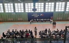 Obchody świąt majowych 19