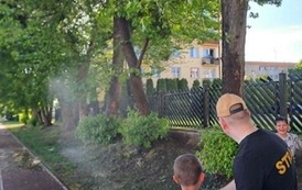 Piknik Rodzinny 13