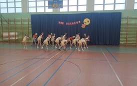 Piknik Rodzinny 39