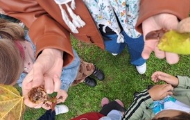 Nauka przez działanie &ndash; klasa 1a 20