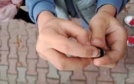 Nauka przez działanie &ndash; klasa 1a 23