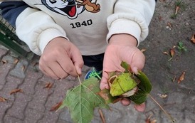 Nauka przez działanie &ndash; klasa 1a 25