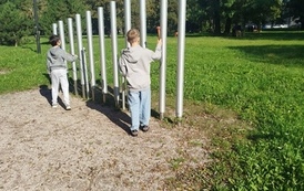 Drzewa pod lupą &ndash; obserwacje przyrodnicze klasy 4a 7
