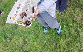 1a - lekcja przyrody w terenie 1
