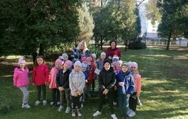 Dzień Drzewa - 10 października 1