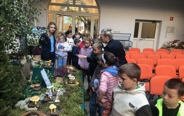 2a na wystawie "Poznaj Grzyby Naszych Las&oacute;w" 12