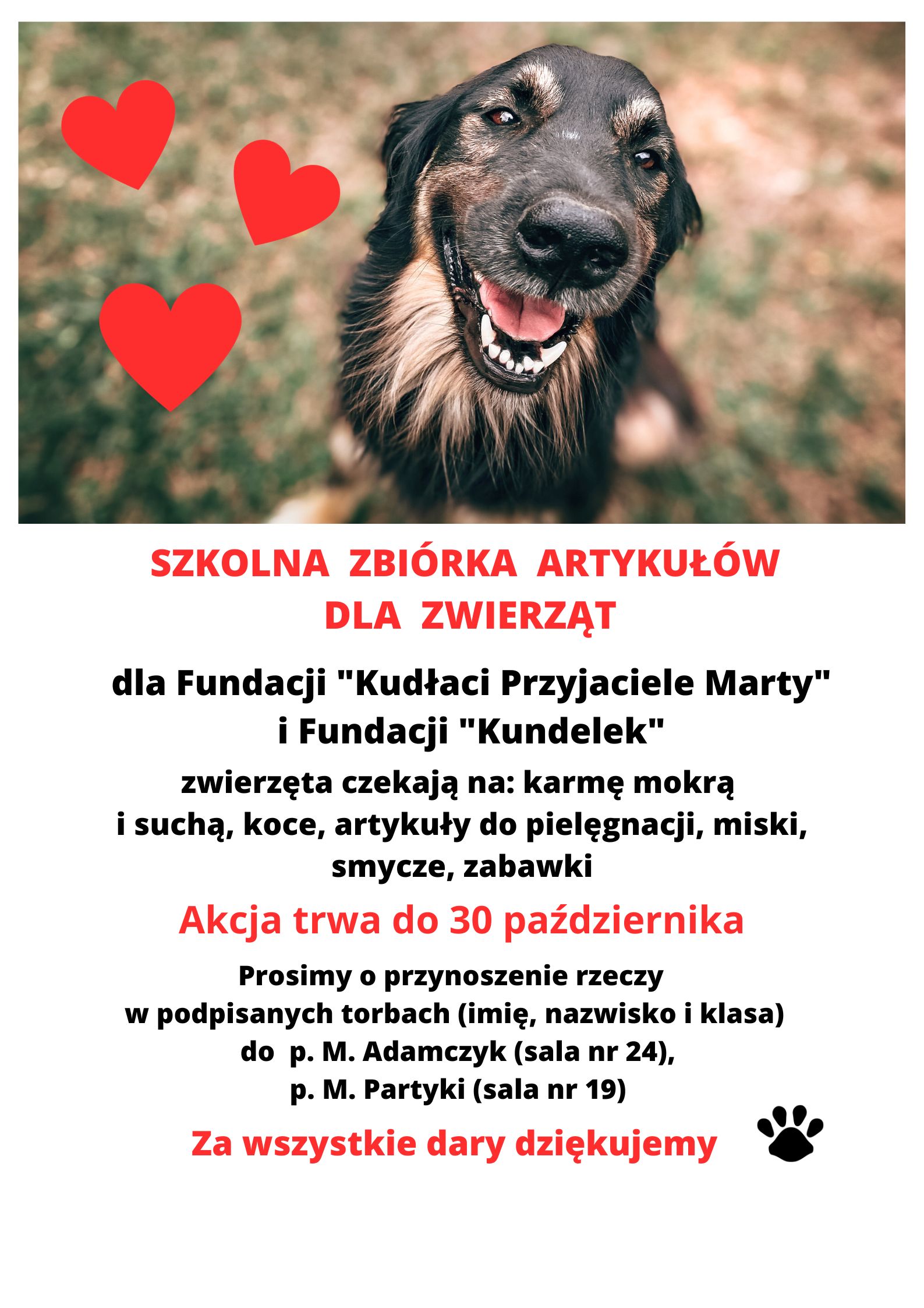 SZKOLNA ZBI&Oacute;RKA ARTYKUŁ&Oacute;W DLA ZWIERZĄT 