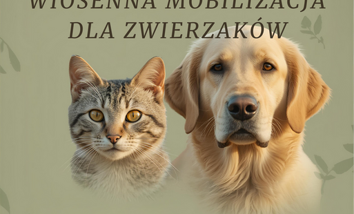 WIOSENNA MOBILIZACJA DLA ZWIERZAKÓW! 