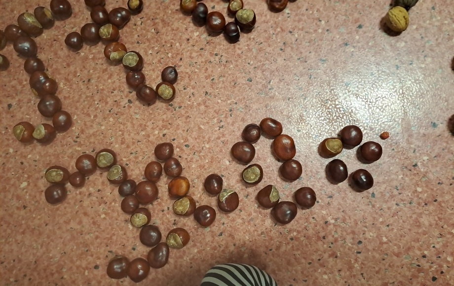 Klasa 1a SP 1 w Sochaczewie rozpoczęła projekt „Literki w akcji”